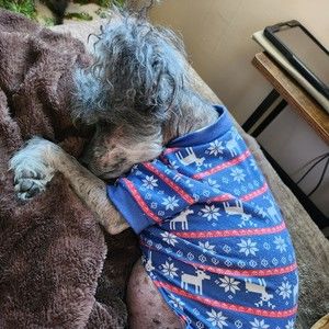 Meet your Posher, Diane